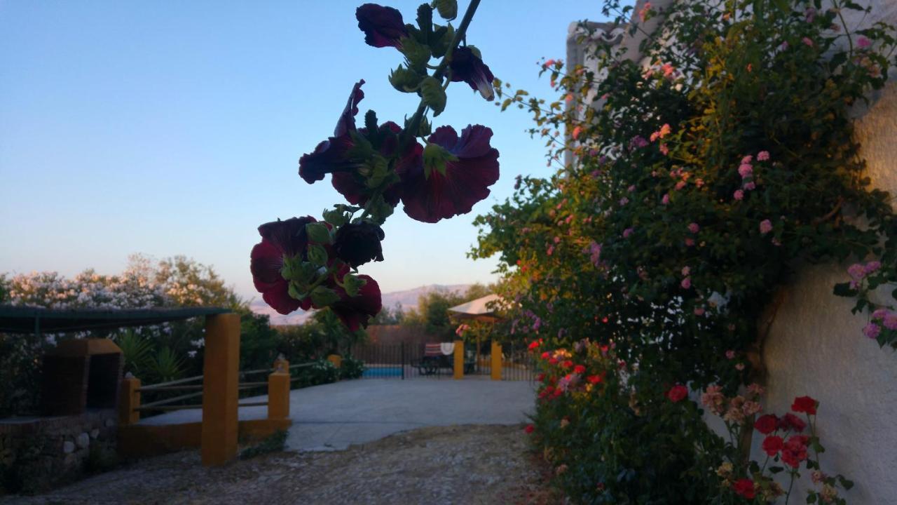 Casa Rural Huerta La Lapa Canete la Real Dış mekan fotoğraf
