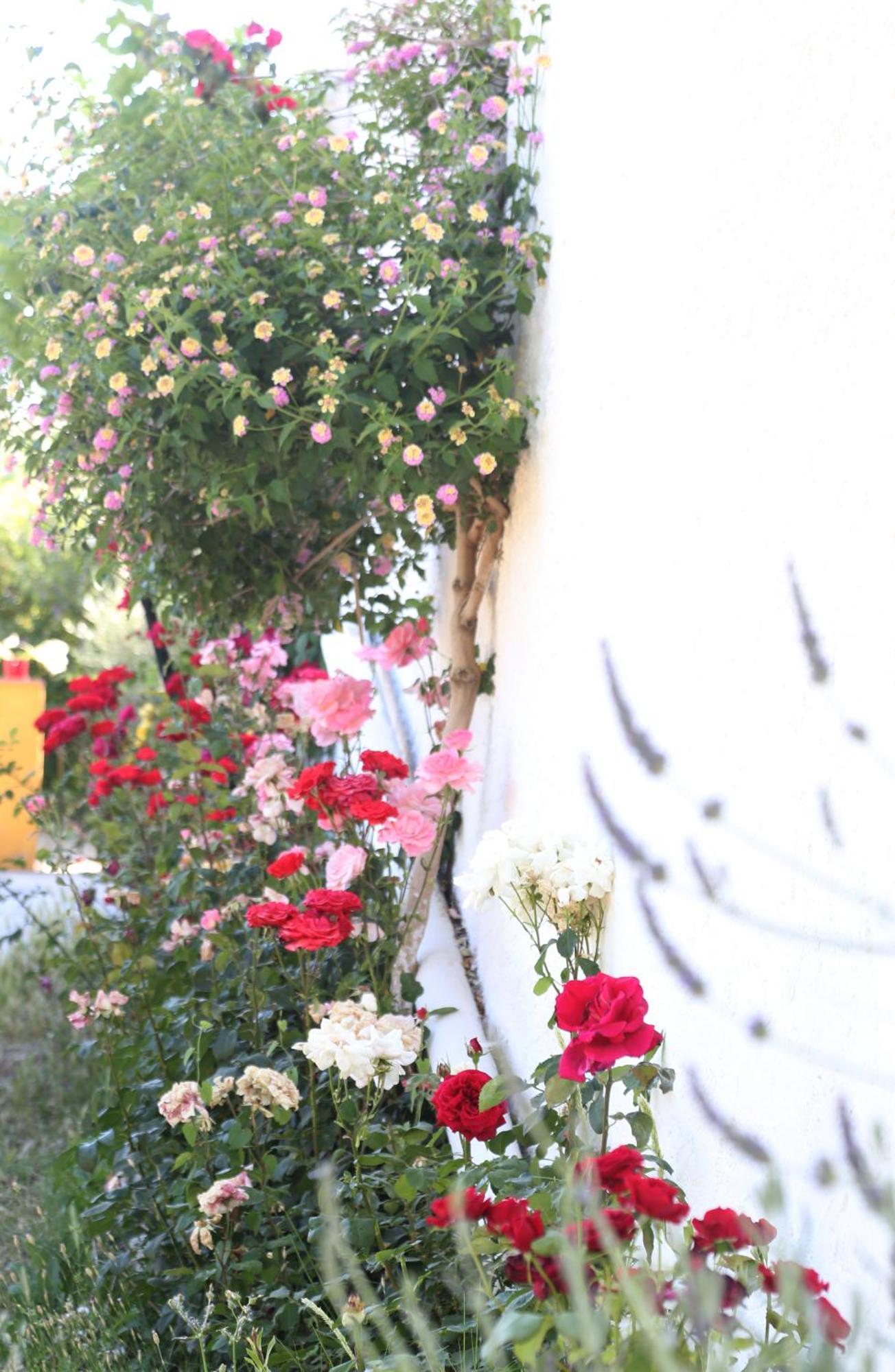 Casa Rural Huerta La Lapa Canete la Real Dış mekan fotoğraf